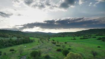 Puesta de sol de 8k en prados en un valle verde con árboles forestales escasos video