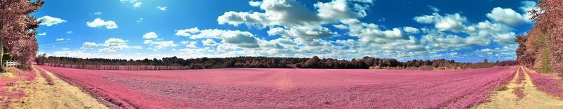 Beautiful and colorful fantasy landscape in an asian purple infrared style photo