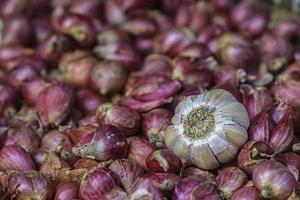 Garlic and onions photo