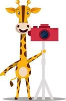 Giraffe with camera, illustration, vector on white background.