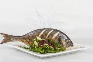 Dorada fish with salad on the white plate. Studio shot photo