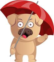 Pug with red umbrella, illustration, vector on white background.