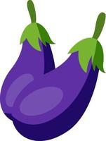 Eggplants, illustration, vector on white background