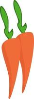 Two carrots, illustration, vector on white background