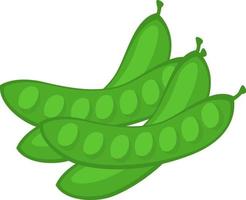 Green pea, illustration, vector on white background