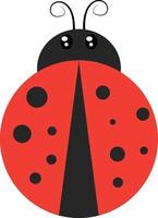 Ladybug flat, illustration, vector on white background