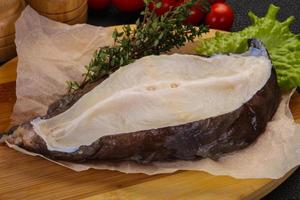 Raw wolffish steak photo