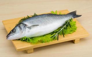 Raw seabass on wooden board and wooden background photo