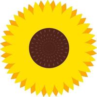 Sunflower flower, illustration, vector on white background