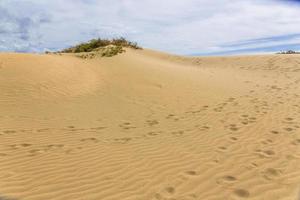 Maspalomas Duna - Desert in Canary island Gran Canaria photo