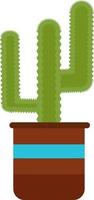 Cactus in a pot, illustration, vector on a white background.
