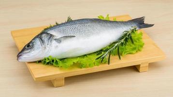 Raw seabass on wooden board and wooden background photo