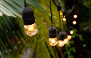 Light bulbs in retro style, coconut palm background, lighting for a special party. photo