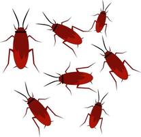 Small cockroaches, illustration, vector on a white background.