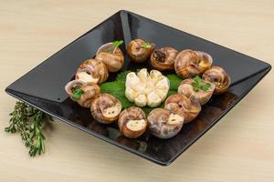 Escargot on the plate and wooden background photo