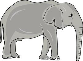 Grey big elephnat, illustration, vector on a white background.