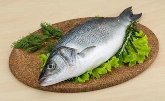 Raw seabass on wooden board and wooden background photo