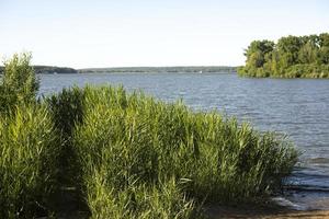 View of lake. Lake in summer. Shore with thickets. photo