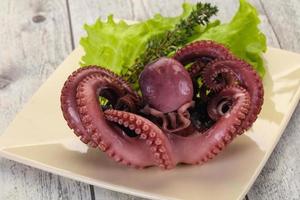 Boiled octopus with herbs photo