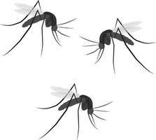 tres mosquitos, ilustración, vector sobre fondo blanco.