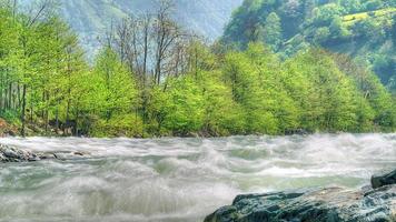 Río claro de 8k que fluye sobre piedras cubiertas de musgo en el bosque video