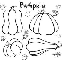 Pumpkin vegetable outline vector icon. Vector graphics