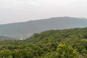 Chinese jungle, island of Hainan photo