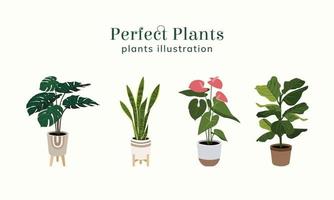 ilustración de plantas perfectas vector