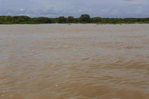 Tonle Sap lake photo