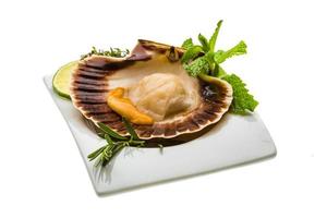 Scallop with asparagus, lime, mint and rosemary photo