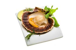 Scallop with asparagus, lime, mint and rosemary photo