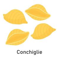 Conchile Italian pasta. For menu design, packaging and more. Vector illustration.