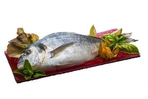 Fresh raw dorada photo