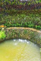 Nong Nooch tropical garden photo