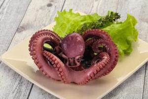 Boiled octopus with herbs photo