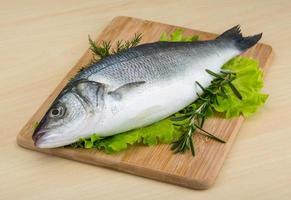 Raw seabass on wooden board and wooden background photo