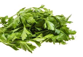 a bunch of parsley on a white background photo