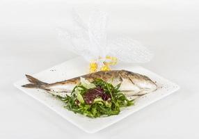 Dorada fish with salad on the white plate. Studio shot photo