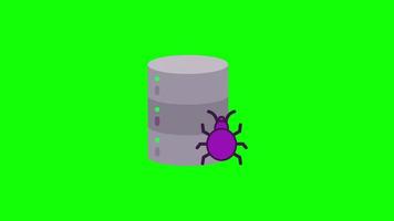 bug datum database icon, protect virus . loop animation with alpha channel. video