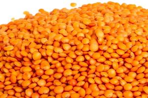 red lentils isolated on white photo