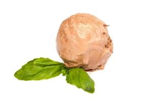 Scoop of chocolate ice cream with mint leaf photo