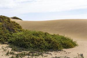 maspalomas duna - desierto en canarias gran canaria foto