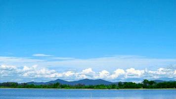 Bambus im Wasser auf dem See Berg Hügel blauer Himmel weiße Wolke im Sommer Zeitraffer video