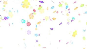 rainbow sakura flowers fall down on the white screen, concept love of valentine's day video