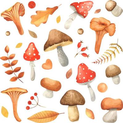 Set of watercolor vintage mushrooms isolated on white. Fall harvest forest mushrooms. Natural autumn botanical collection. Vegetarian food