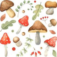Set of watercolor vintage mushrooms isolated on white. Fall harvest forest mushrooms. Natural autumn botanical collection. Vegetarian food