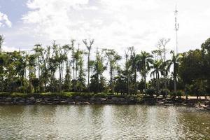 Nong Nooch tropical garden photo