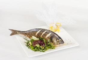 Dorada fish with salad on the white plate. Studio shot photo