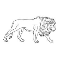 Vector outline lion