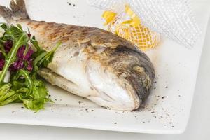 Dorada fish with salad on the white plate. Studio shot photo